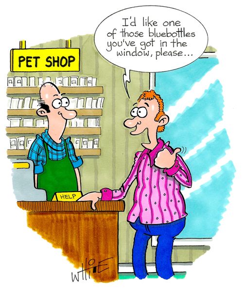 "I'd like one of those bluebottles you've got in the window, please..."
