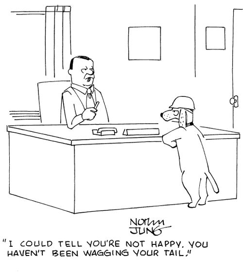 "I could tell you're not happy. You haven't been wagging your tail."