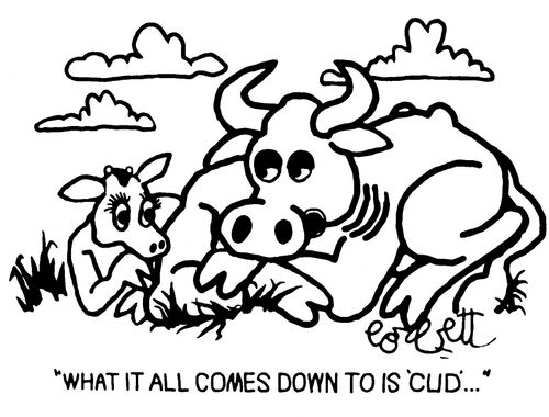 "What it all comes down to is 'cud'..."