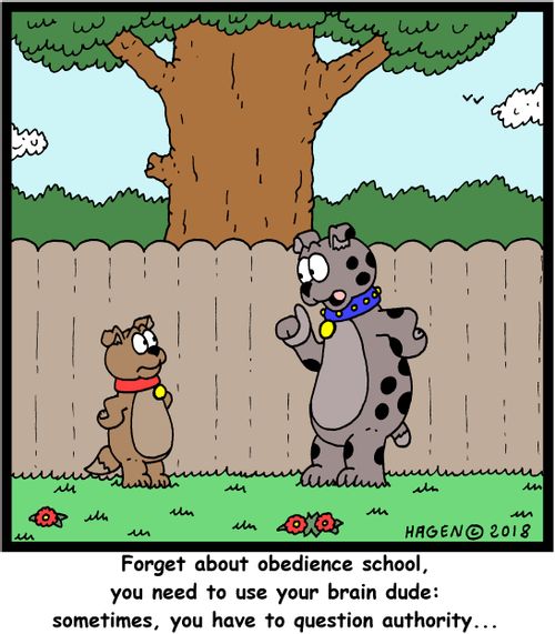 "Forget about obedience school, you need to use your brain dude: sometimes, you have to question authority..."