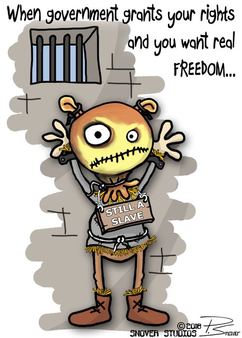 When government grants your rights and you want real freedom...