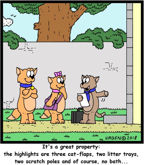"It's a great property: the highlights are three cat-flaps, two litter trays, two scratch poles and of course, no bath..."