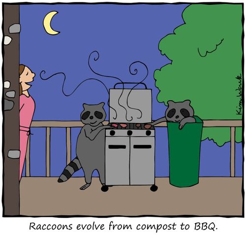 Raccoons evolve from compost to BBQ.