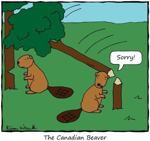 The Canadian Beaver