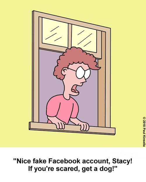 "Nice fake Facebook account, Stacy! If you're scared, get a dog!"