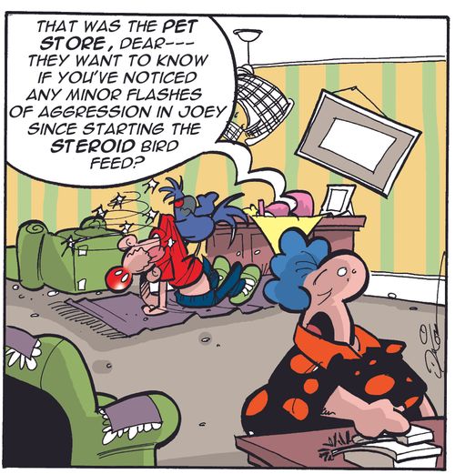 "That was the pet store, dear - they want to know if you've noticed any minor flashes of aggression in Joey since starting the steroid bird feed?"