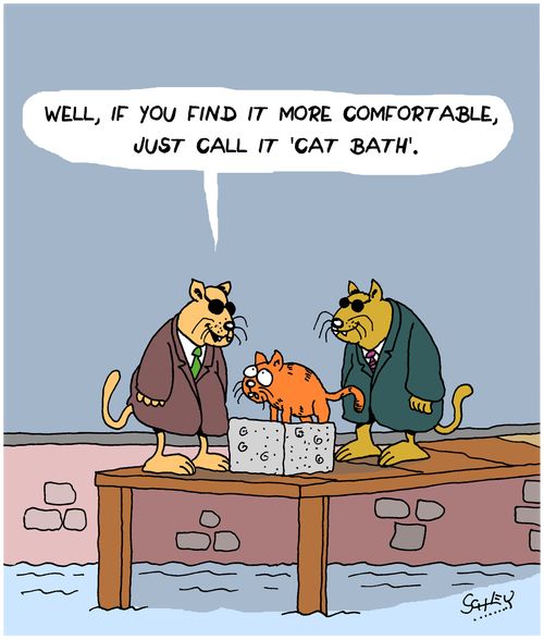 "Well, if you find it more comfortable, just call it 'cat bath'."