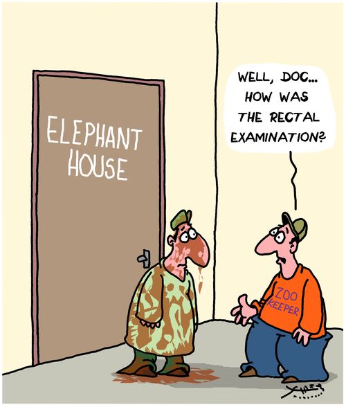 "Well, doc...how was the rectal examination?"