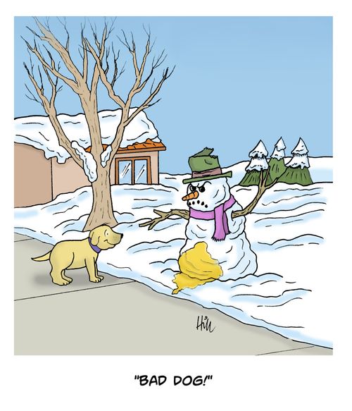 "Bad Dog!"