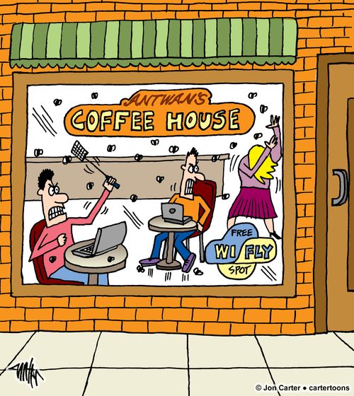 A coffee house full of house flies offers free 'Wi Fly'