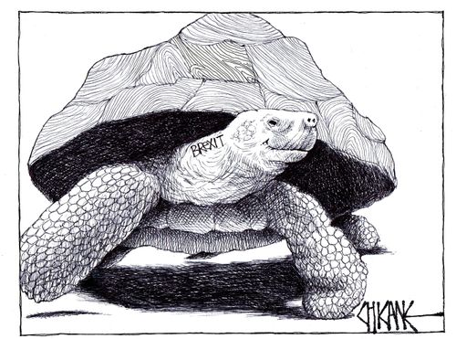 Brexit Tortoise
