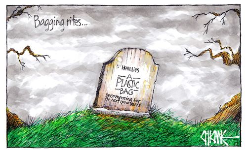 Bagging Rites...A Plastic Bag: Decomposing for the next 1000 years