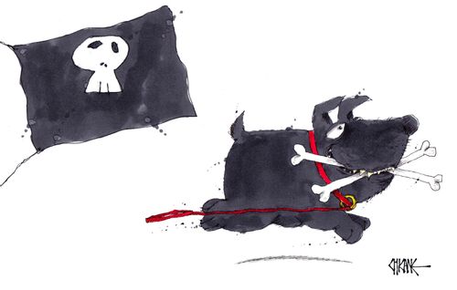 Pirate Dog