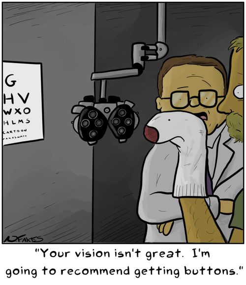 "Your vision isn't great. I'm going to recommend getting buttons." 