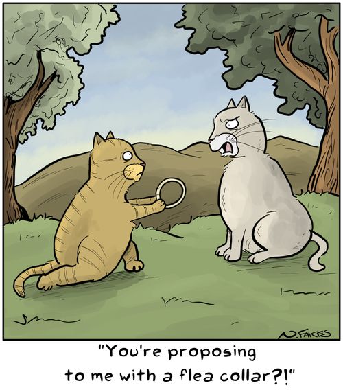 "You're proposing to me with a flea collar?!"