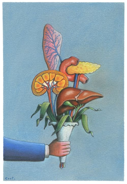 Organ Donation