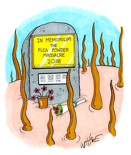 In Memorium: The Flea Powder Massacre 2018