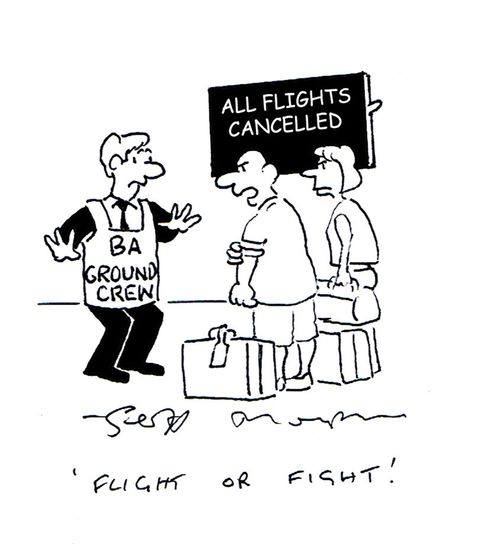 "Flight or fight!"