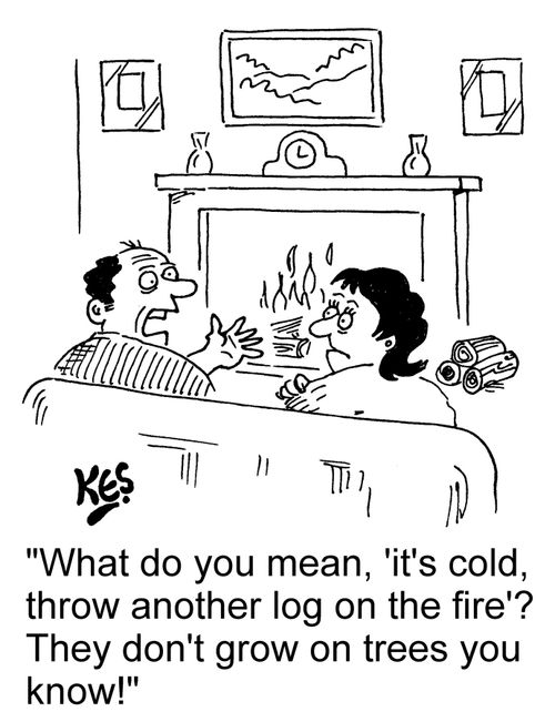 "What do you mean, 'It's cold, throw another log on the fire'? They don't grow on trees you know!"