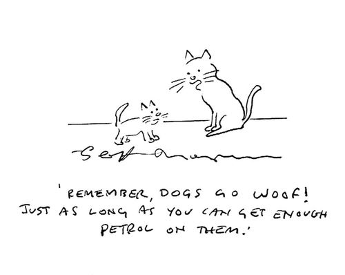 "Remember, dogs go woof! Just as long as you can get enough petrol on them."