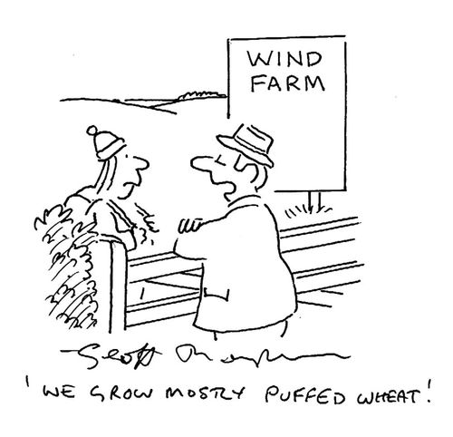 "We grow mostly puffed wheat."