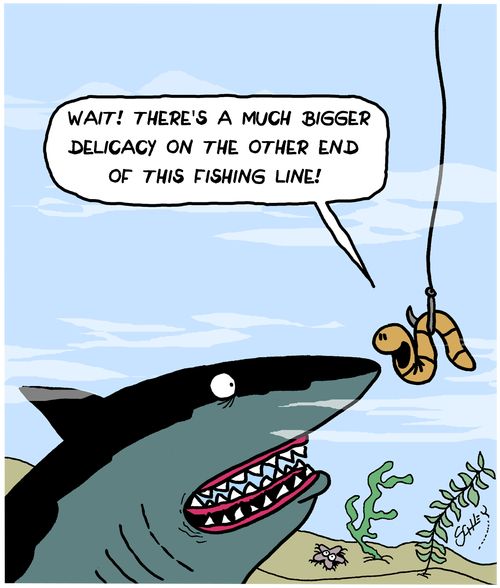 "Wait! There's a much bigger delicacy on the other end of this fishing line!"