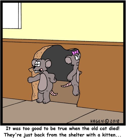 "It was too good to be true when the old cat died! They're just back from the shelter with a kitten..."