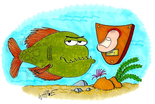 Piranha Trophy