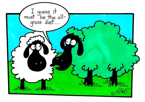 "I guess it must be the all-grass diet..."