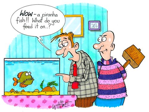 "Wow - a piranha fish!! What do you feed it on...?"