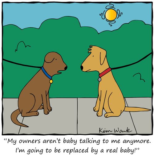 "My owners aren't baby talking to me anymore. I'm going to be replaced by a real baby!"