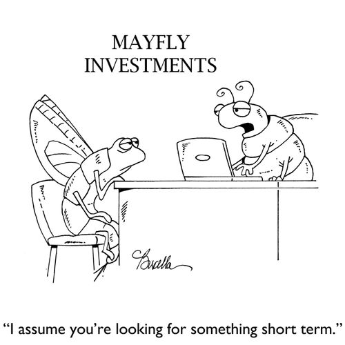 "I assume you're looking for something short term."