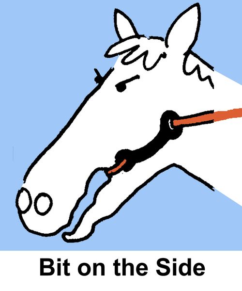Bit on the Side