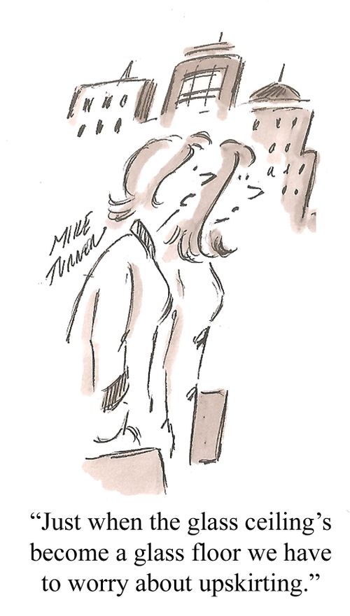 "Just when the glass ceiling's become the glass floor we have to worry about upskirting."
