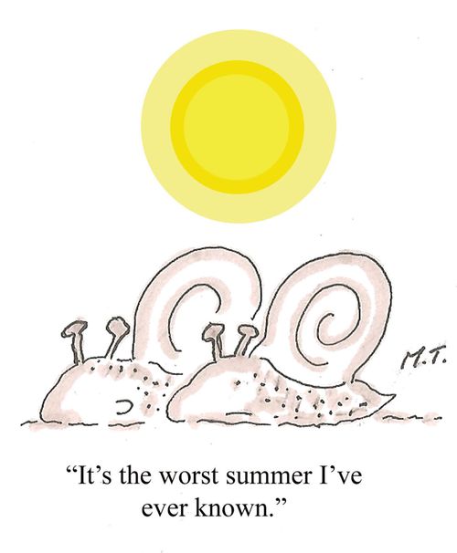 "It's the worst summer I've ever known."