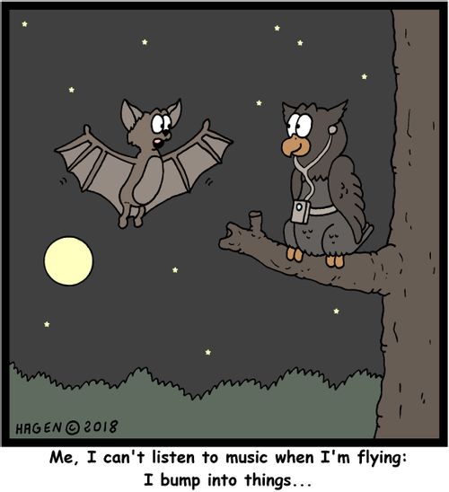 "Me, I can't listen to music when I'm flying: I bump into things..."