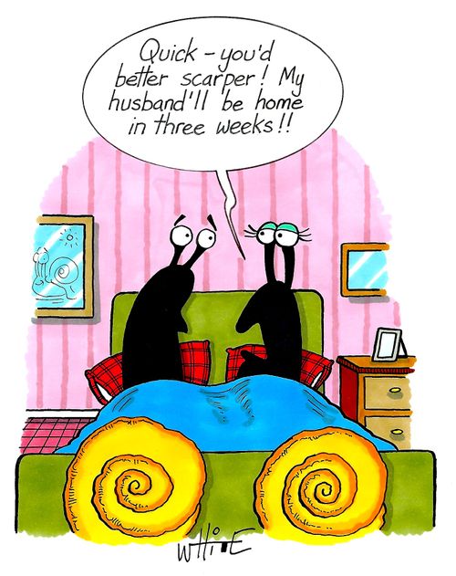 "Quick - you'd better scarper! My husband'll be home in three weeks!!"