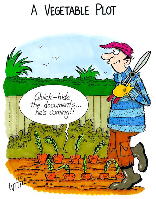 A Vegetable Plot...