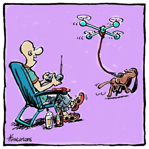 Drone Dog Walker