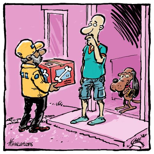 Dog shops online
