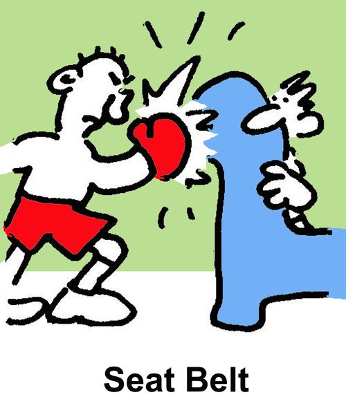 Seat Belt