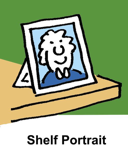 Shelf Portrait