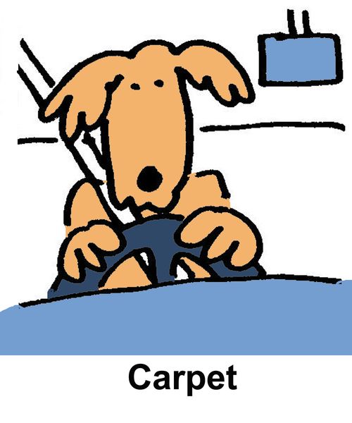 Carpet