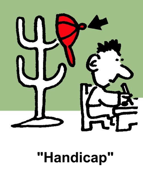Handicap