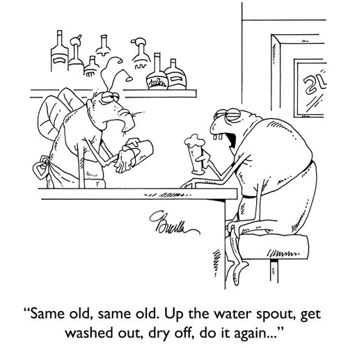 "Same old, same old. Up the water spout, get washed out, dry off, do it again..."