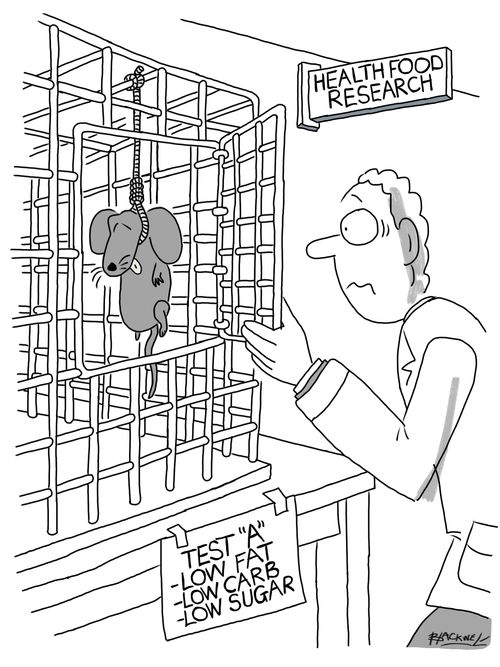 Health Food Research: Mouse commits suicide