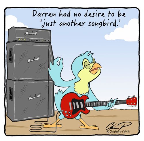 Darren had no desire to be 'just another songbird.'