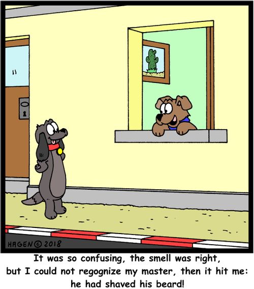 "It was so confusing, the smell was right, but I could not recognize my master, then it hit me: he had shaved his beard!"