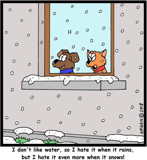"I don't like water, so I hate it when it rains, but I hate it even more when it snows!"