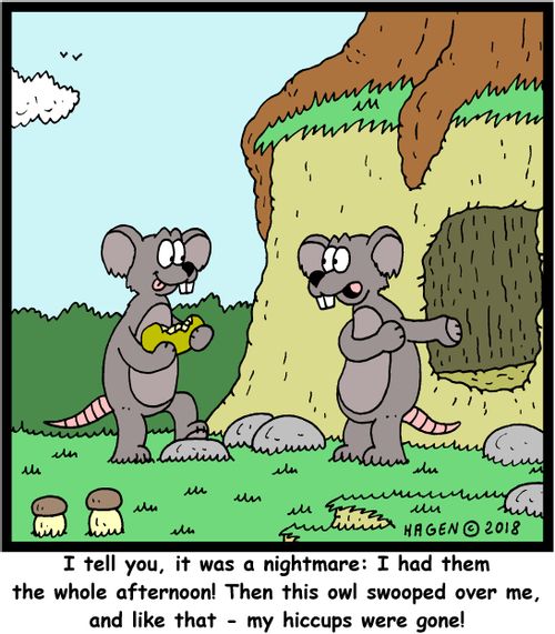 "I tell you, it was a nightmare: I had them the whole afternoon! Then this owl swooped over me, and like that - my hiccups were gone!"